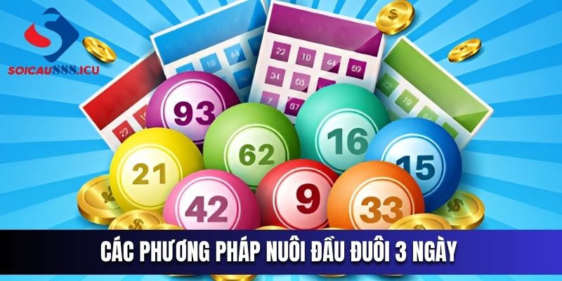 4 cách thức nuôi số đầu, đuôi mang hiệu quả cao nhất