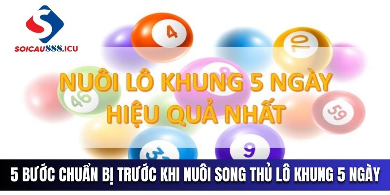 5 bước chuẩn bị trước khi nuôi song thủ lô khung 5 ngày