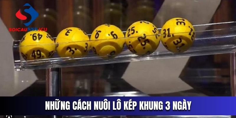 5 phương pháp nuôi lô kép khung 3 ngày hiệu quả