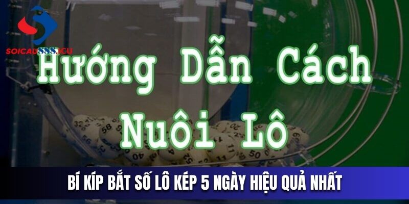 Bật mí cách bắt số lô kép 5 ngày hiệu quả nhất