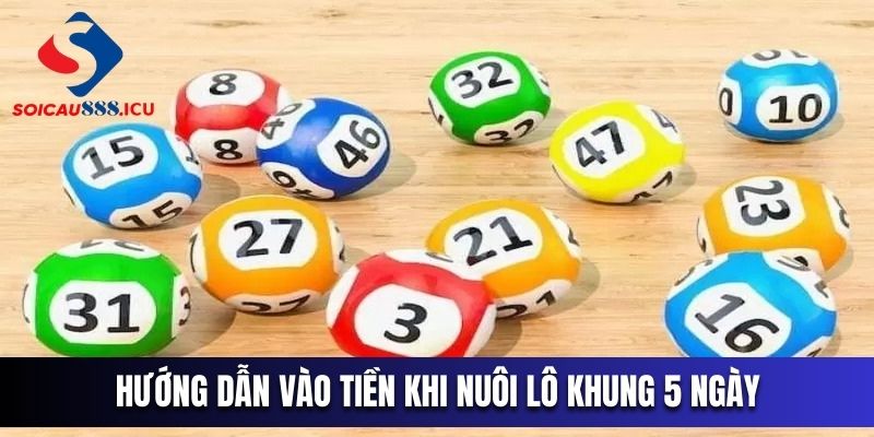 Hướng dẫn người chơi cách vào tiền khi nuôi lô khung 5 ngày