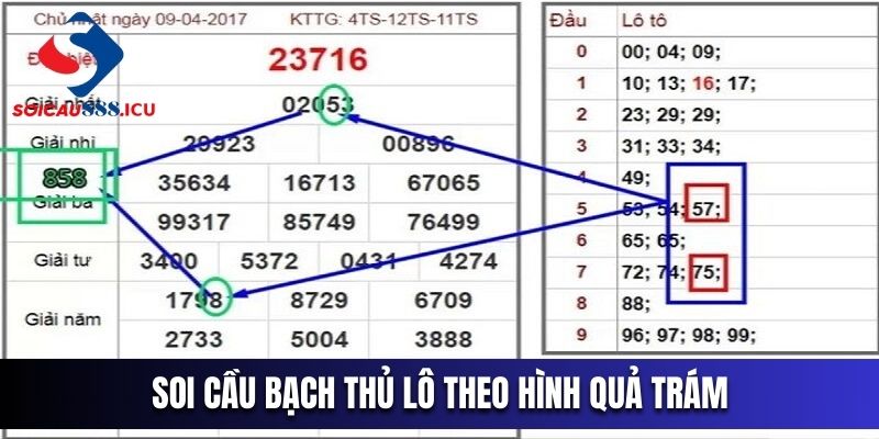 Soi cầu bạch thủ lô theo hình quả trám