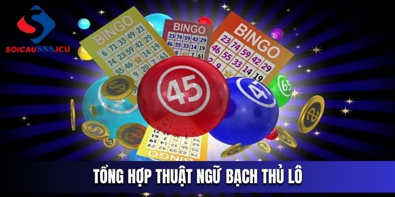 Tổng hợp thuật ngữ bạch thủ lô