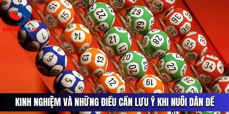 Cần chuẩn bị vốn để nuôi trong 5 ngày liên tiếp