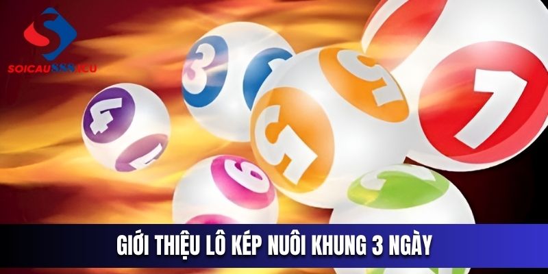 Đôi nét về lô kép khung 3 ngày