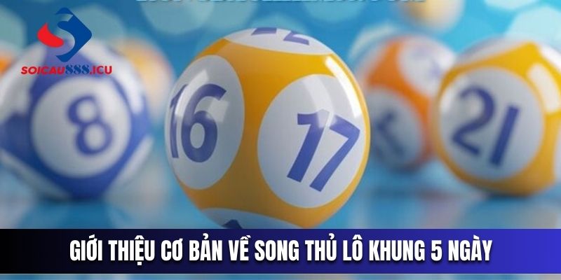 Giới thiệu cơ bản về song thủ lô khung 5 ngày