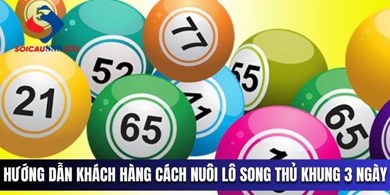 Hướng dẫn khách hàng cách nuôi lô song thủ khung 3 ngày