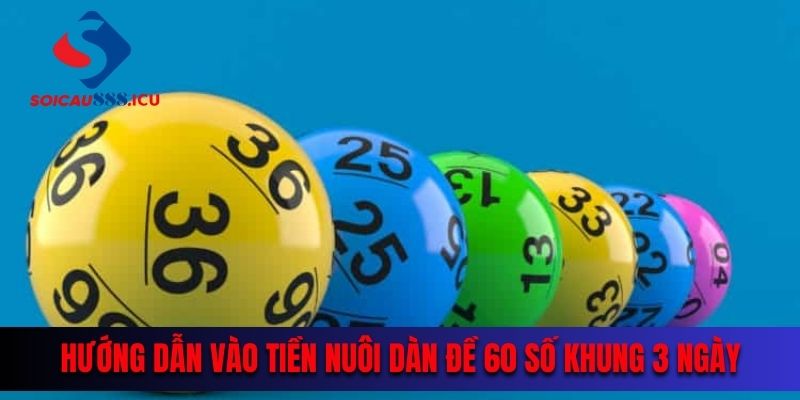 Hướng dẫn vào tiền nuôi dàn đề 60 số khung 3 ngày hiệu quả