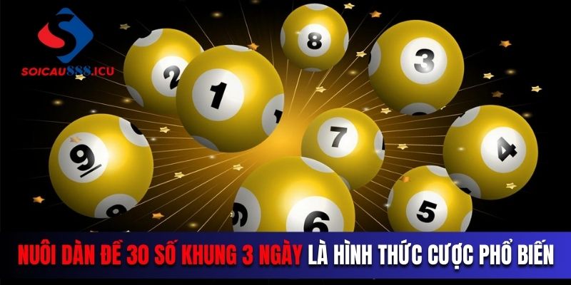 Nuôi dàn đề 30 số khung 3 ngày là hình thức cược phổ biến