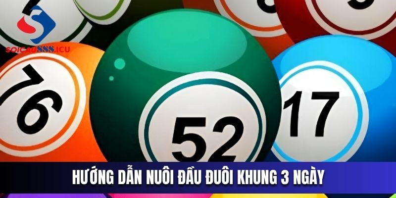 Nuôi đầu đuôi khung 3 ngày