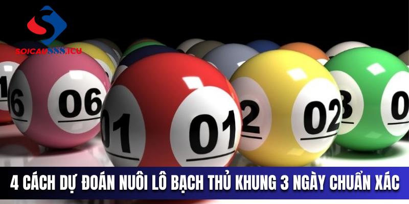 Nuôi lô bạch thủ khung 3 ngày