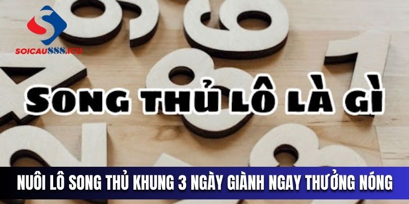 Nuôi lô song thủ khung 3 ngày