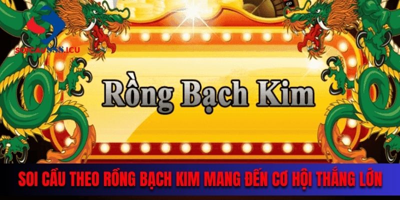 Soi cầu theo rồng bạch kim mang đến cơ hội thắng lớn