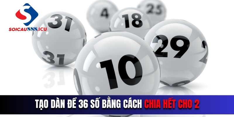 Tao Dan De 36 So Nuoi Khung 3 Ngay Bang Cach Chia Het Cho 2