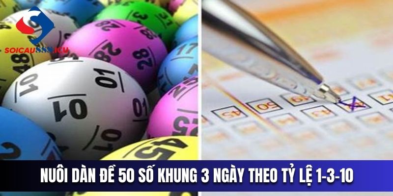 Thành viên có thể lựa chọn nuôi dàn đề 50 số khung 3 ngày theo tỷ lệ 1-3-10