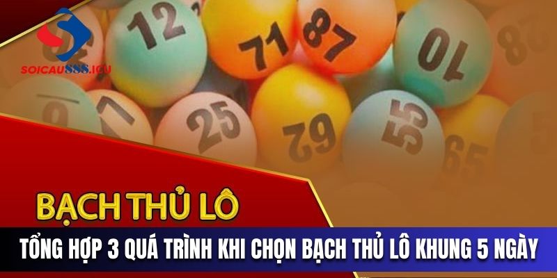 Tổng hợp 3 quá trình trước khi chọn bạch thủ lô khung 5 ngày